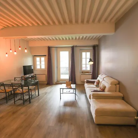 55 M2 With Big Terrace In Downtown Apartment Annecy