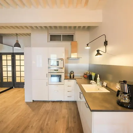 55 M2 With Big Terrace In Downtown Apartment
