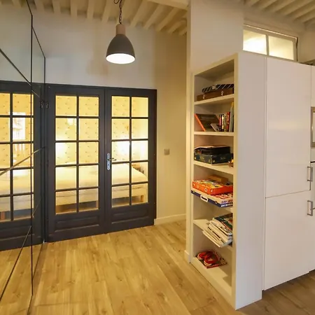 55 M2 With Big Terrace In Downtown Άννεσι