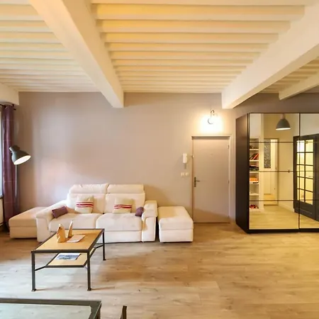 Apartment 55 M2 With Big Terrace In Downtown Annecy