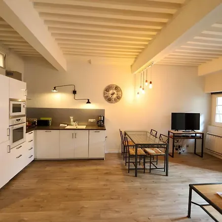 Apartment 55 M2 With Big Terrace In Downtown