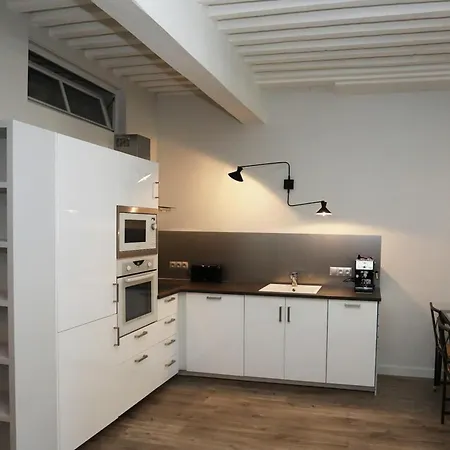 Apartment 55 M2 With Big Terrace In Downtown *