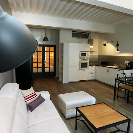 55 M2 With Big Terrace In Downtown *