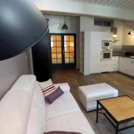 55 M2 With Big Terrace In Downtown * Άννεσι