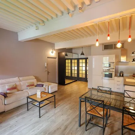 Apartment 55 M2 With Big Terrace In Downtown Annecy