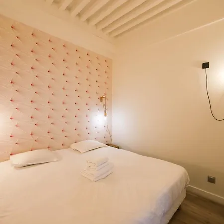 55 M2 With Big Terrace In Downtown * Άννεσι