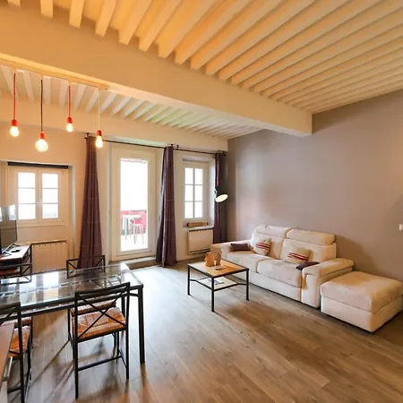 Apartment 55 M2 With Big Terrace In Downtown Annecy